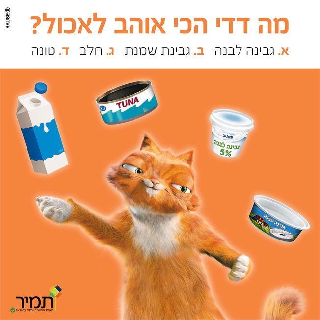 טריוויה